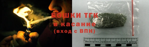прущие грибы Нязепетровск