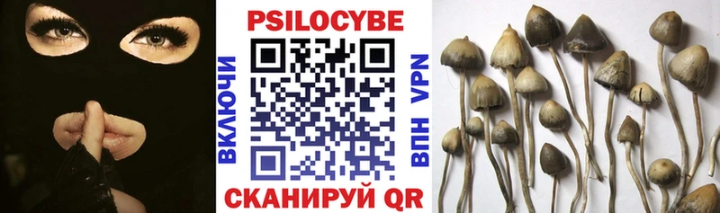 Купить где  Амурск  Псилоцибиновые грибы Psilocybine cubensis 